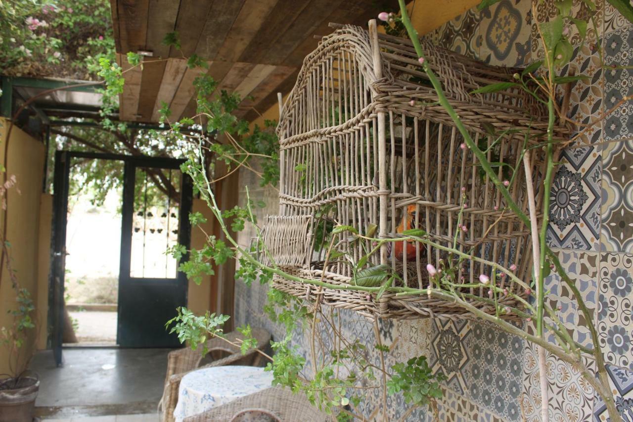 Bed & Breakfast Krivine Midreshet Ben Gurion